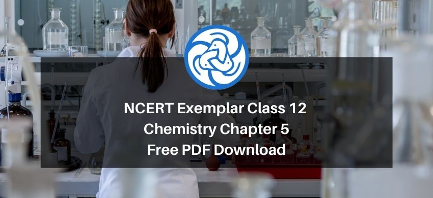 NCERT Exemplar Class 12 Chemistry Chapter 5 - Surface Chemistry - Free PDF Download