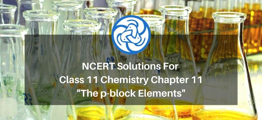 NCERT Solutions for Class 11 Chemistry chapter 11 The p-block Elements PDF - eSaral