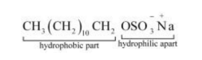 NCERT Solutions for Class 12 Chemistry Chapter 16 Chemistry in Everyday Life PDF Image 9