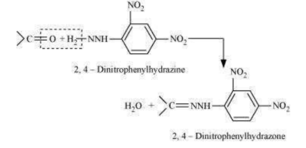 NCERT Solutions for Class 12 Chemistry Chapter 12 Aldehydes Ketones and Carboxylic Acids PDF Image 15